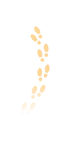 Step Traces